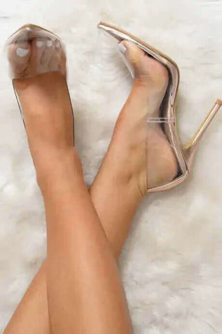 Closed Pointy Toe Clear High Heel Pumps 4"in